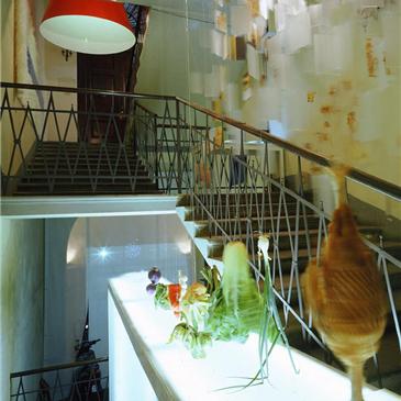 le rampe allestite